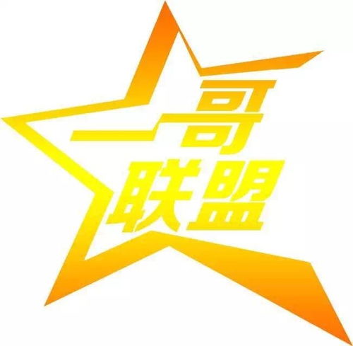 廣東一哥聯(lián)盟投資管理 專業(yè)投資咨詢服務(wù)解析