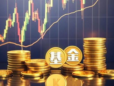 專業(yè)投資咨詢 圖片行業(yè)的機遇與挑戰(zhàn)